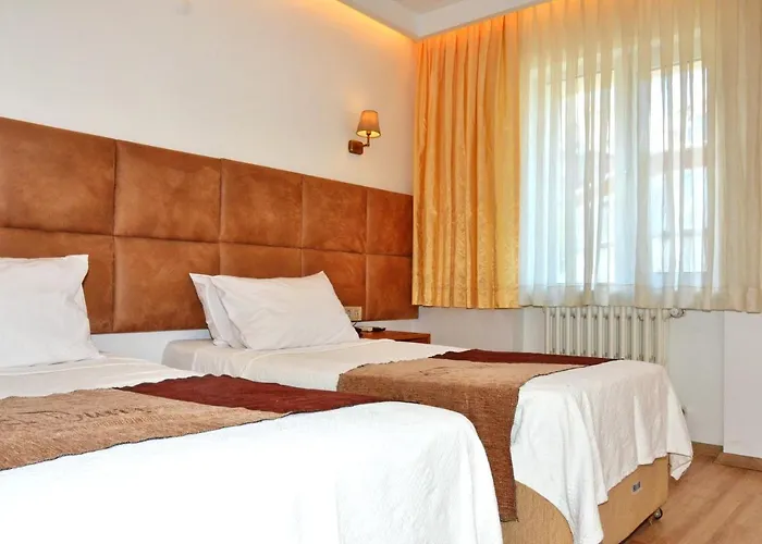 伊斯坦布尔达沃斯酒店